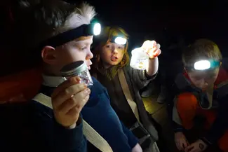 Les explorateurs du temps : un chouette anniversaire au Musée