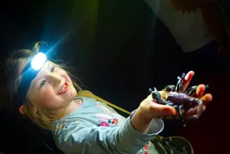 Les explorateurs du temps : un chouette anniversaire au Musée