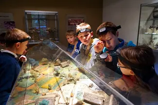 Les explorateurs du temps : un chouette anniversaire au Musée
